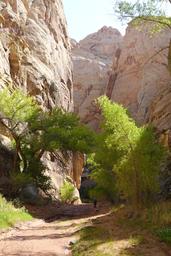 In the shade [sat aug 30 10:18:03 mdt 2025]